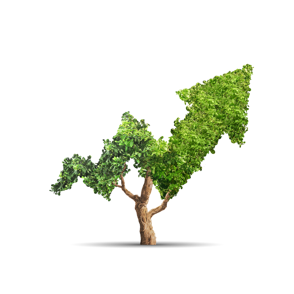 Sweden’s AP2 Sees a Green Bond Explosion in Public Sector