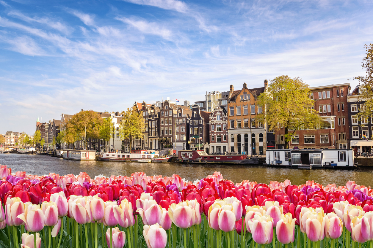 Dutch Pensions Felt Major Pain in Q4