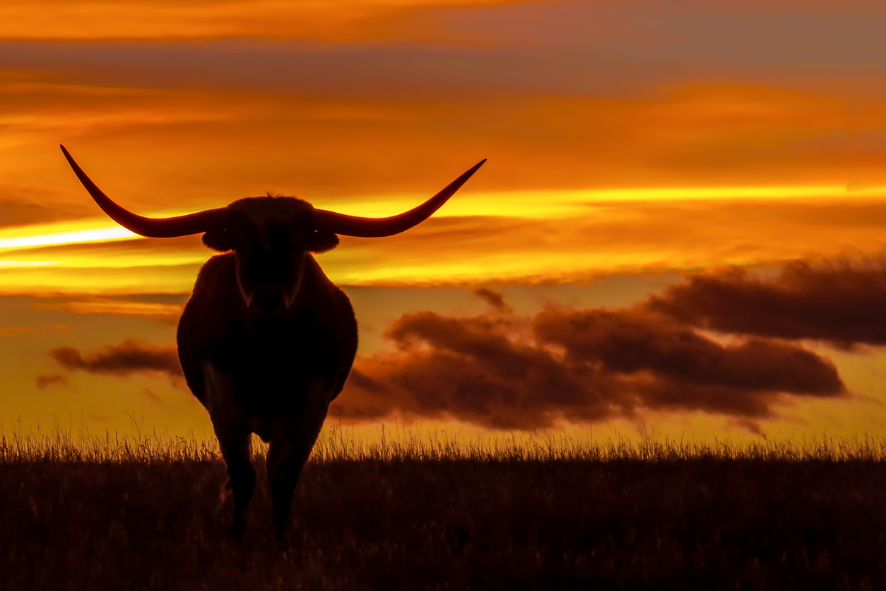 Middle-Market Strategies Dominate Texas Municipal’s Latest Commitments