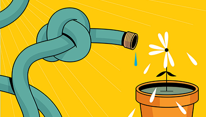 In Focus: Endowments Unharmed by Tax Law Changes…So Far