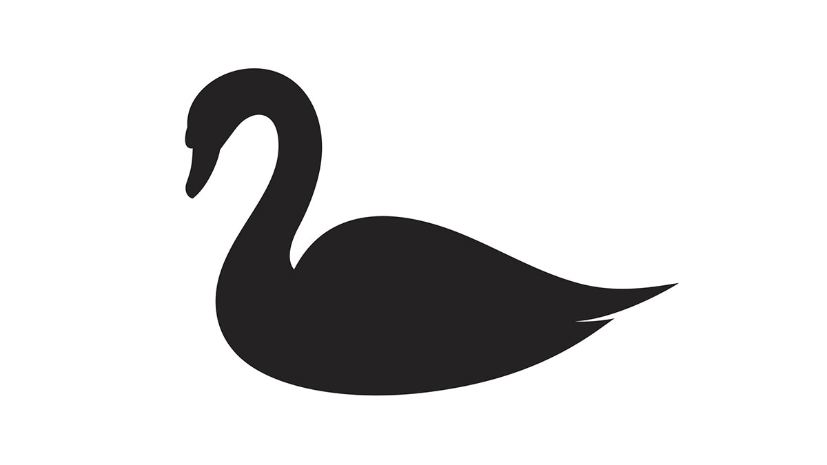 Tail Risk Hedges Are Vital for Investors Now, Argues Swan Theory Guy | Chief Investment