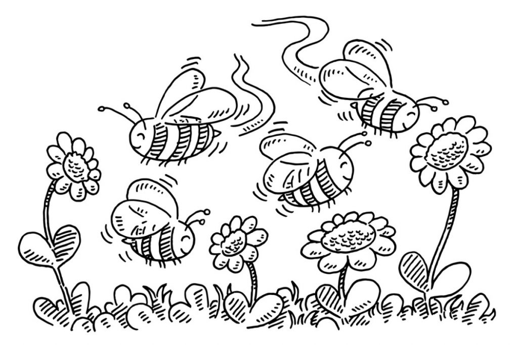 last in line clipart for flower