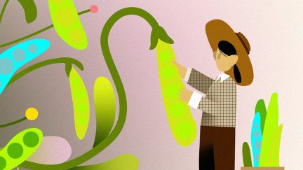 Treasury, IRS Issue Final Regulations on Roth Catch-up Contributions