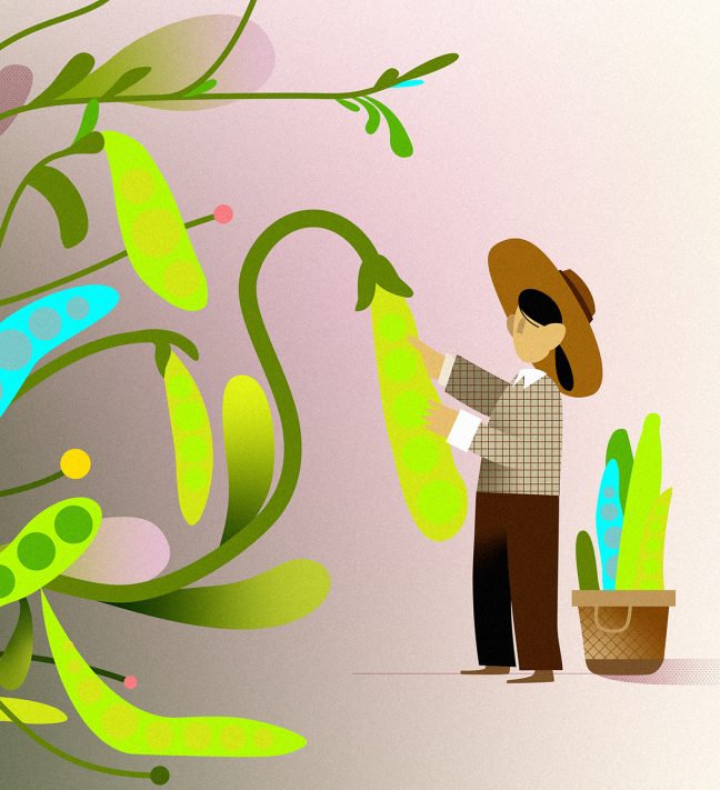 Treasury, IRS Issue Final Regulations on Roth Catch-up Contributions