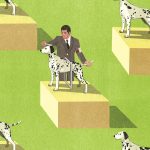 71.6% of DC plan sponsors surveyed reported being at least moderately likely to recommend their provider to others.